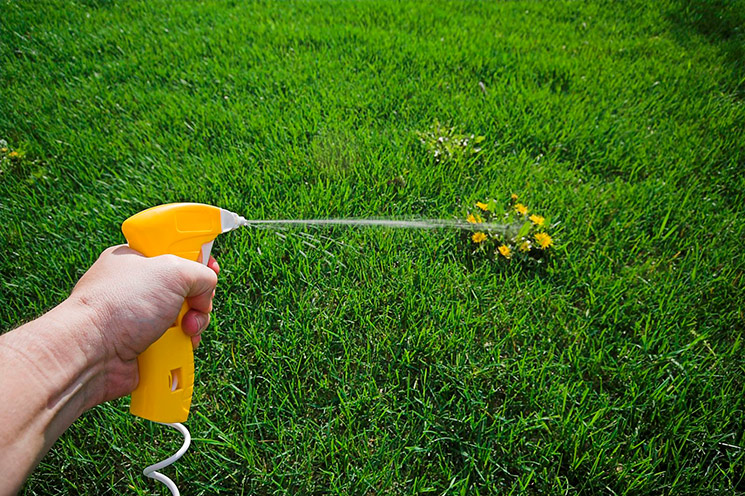 Системная обработка гербицидами